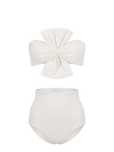 colombe blanche