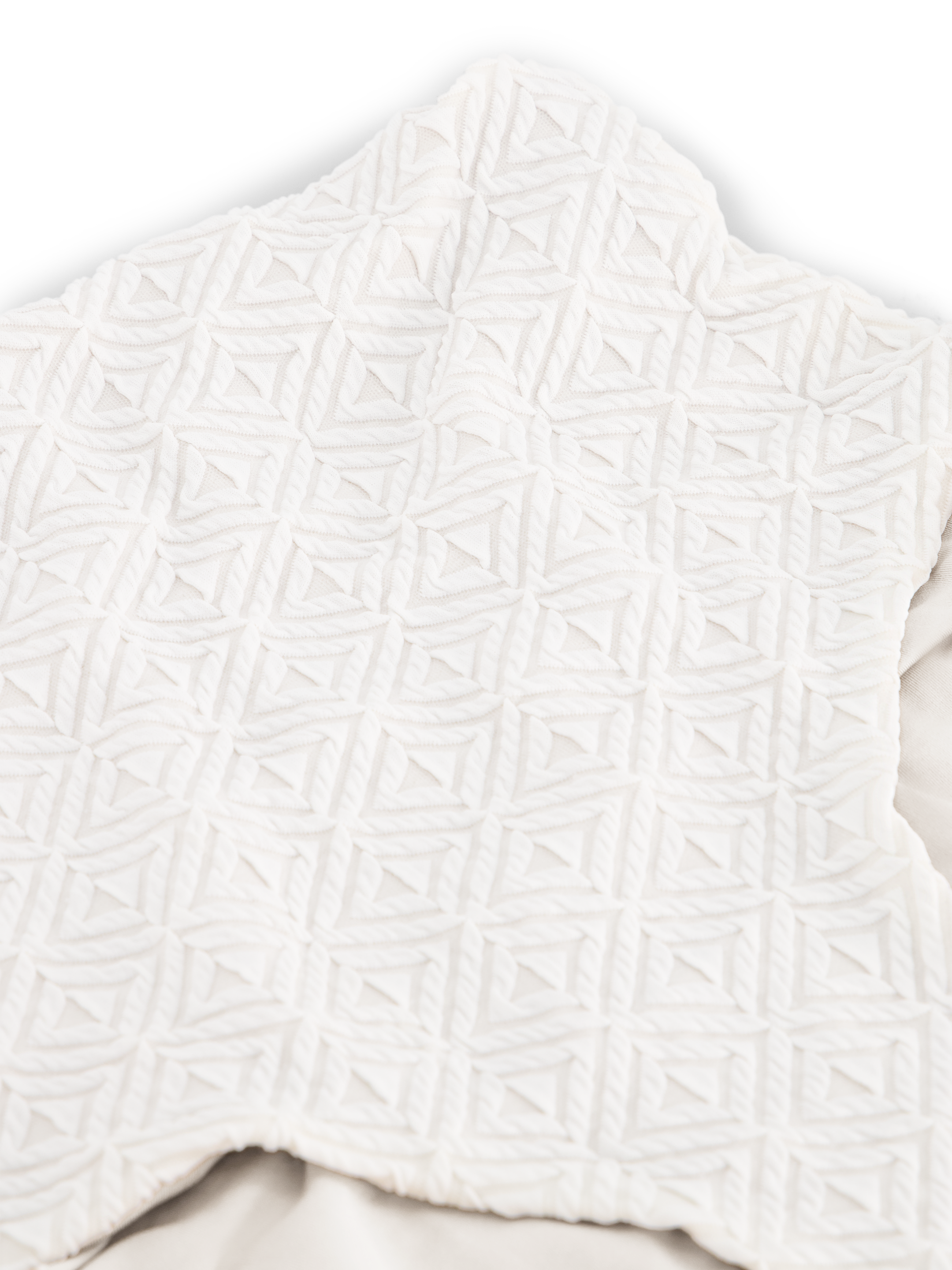 colombe blanche