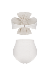 colombe blanche